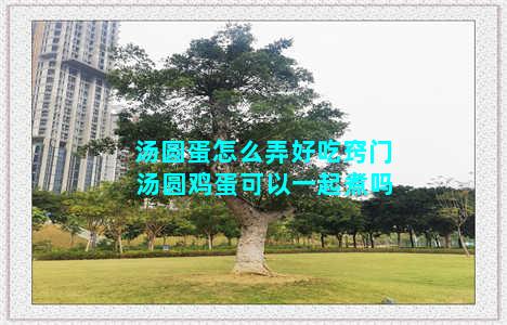 汤圆蛋怎么弄好吃窍门 汤圆鸡蛋可以一起煮吗